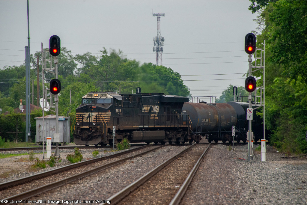 NS 7619